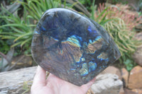 Polished Labradorite Standing Free Form x 1 From Tulear, Madagascar