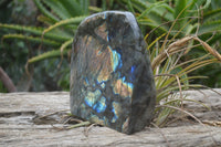 Polished Labradorite Standing Free Form x 1 From Tulear, Madagascar