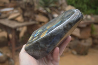 Polished Labradorite Standing Free Form x 1 From Tulear, Madagascar