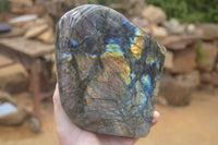 Polished Labradorite Standing Free Form x 1 From Tulear, Madagascar