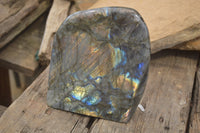 Polished Labradorite Standing Free Form x 1 From Tulear, Madagascar