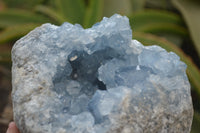 Natural Celestite Geode Specimen x 1 From Sakoany, Madagascar