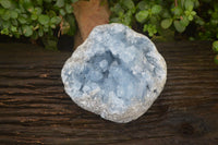 Natural Celestite Geode Specimen x 1 From Sakoany, Madagascar