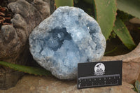 Natural Celestite Geode Specimen x 1 From Sakoany, Madagascar