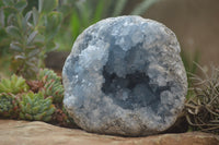 Natural Celestite Geode Specimen x 1 From Sakoany, Madagascar