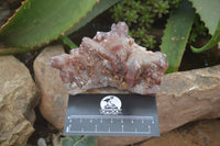 Natural Red Hematoid Quartz Clusters x 6 From Karoi, Zimbabwe