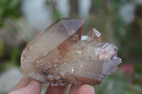 Natural Red Hematoid Quartz Clusters x 6 From Karoi, Zimbabwe