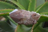 Natural Red Hematoid Quartz Clusters x 6 From Karoi, Zimbabwe