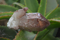 Natural Red Hematoid Quartz Clusters x 6 From Karoi, Zimbabwe