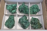 Natural Silky Malachite Specimens x 6 From Kasompe, Congo