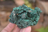 Natural Silky Malachite Specimens x 6 From Kasompe, Congo