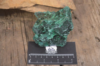 Natural Silky Malachite Specimens x 6 From Kasompe, Congo