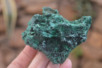 Natural Silky Malachite Specimens x 6 From Kasompe, Congo