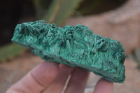 Natural Silky Malachite Specimens x 6 From Kasompe, Congo