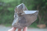 Natural Smokey Quartz Crystal Formations x 3 From Mulanje, Malawi