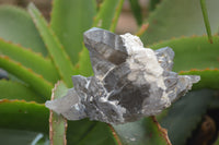 Natural Smokey Quartz Crystal Formations x 3 From Mulanje, Malawi