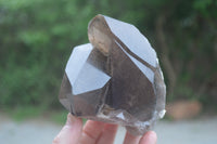 Natural Smokey Quartz Crystal Formations x 3 From Mulanje, Malawi