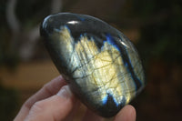 Polished Labradorite Standing Free Forms x 6 From Madagascar