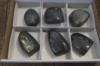 Polished Labradorite Standing Free Forms x 6 From Madagascar