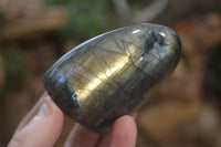 Polished Labradorite Standing Free Forms x 6 From Madagascar