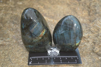 Polished Labradorite Standing Free Forms x 6 From Madagascar