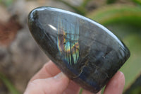 Polished Labradorite Standing Free Forms x 6 From Madagascar