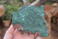 Natural Botryoidal Malachite Specimens x 2 From Tenke Fungurume, Congo