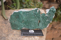 Natural Botryoidal Malachite Specimens x 2 From Tenke Fungurume, Congo