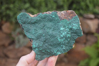 Natural Botryoidal Malachite Specimens x 2 From Tenke Fungurume, Congo