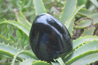 Polished Black Tourmaline Standing Free Forms x 4 From Madagascar