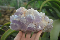 Natural Jacaranda Amethyst Quartz Clusters x 2 from Mumbwa, Zambia