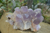 Natural Jacaranda Amethyst Quartz Clusters x 2 from Mumbwa, Zambia