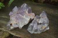 Natural Jacaranda Amethyst Quartz Clusters x 2 from Mumbwa, Zambia