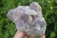 Natural Jacaranda Amethyst Quartz Clusters x 2 from Mumbwa, Zambia