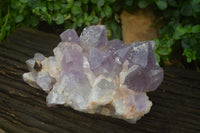 Natural Jacaranda Amethyst Quartz Clusters x 2 from Mumbwa, Zambia