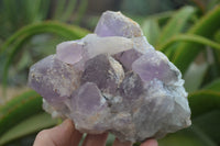 Natural Jacaranda Amethyst Quartz Clusters x 2 from Mumbwa, Zambia