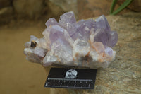 Natural Jacaranda Amethyst Quartz Clusters x 2 from Mumbwa, Zambia