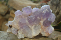 Natural Jacaranda Amethyst Quartz Clusters x 2 from Mumbwa, Zambia