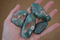 Polished Emerald Mtorolite Palm Stones x 12 From Mutorashanga, Zimbabwe