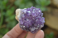 Natural Amethystos Amethyst Plates x 20 From Kwaggafontein, South Africa