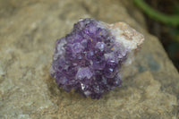 Natural Amethystos Amethyst Plates x 20 From Kwaggafontein, South Africa