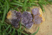 Natural Amethystos Amethyst Plates x 20 From Kwaggafontein, South Africa