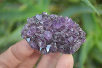 Natural Amethystos Amethyst Plates x 20 From Kwaggafontein, South Africa