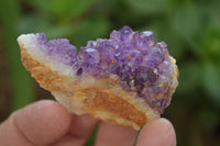 Natural Amethystos Amethyst Plates x 20 From Kwaggafontein, South Africa