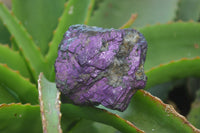 Natural Metallic Purpurite Cobbed Specimens x 6 From Erongo, Namibia