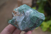 Natural Swazi Jade Cobbed Specimens x 12 from Swaziland