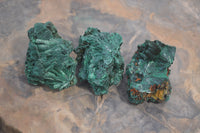 Natural Silky Malachite Specimens x 12 From Kasompe, Congo