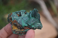 Natural Silky Malachite Specimens x 12 From Kasompe, Congo