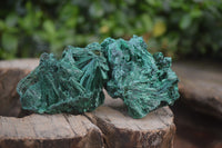 Natural Silky Malachite Specimens x 12 From Kasompe, Congo