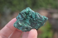 Natural Silky Malachite Specimens x 12 From Kasompe, Congo